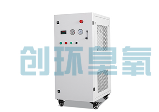 山东石斑鱼养殖水质调控完整指南:臭氧发生器配置与操作步骤