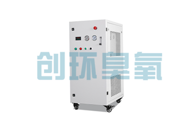 山东比传统换水更高效?臭氧发生器在石斑鱼养殖中的水质净化原理解析